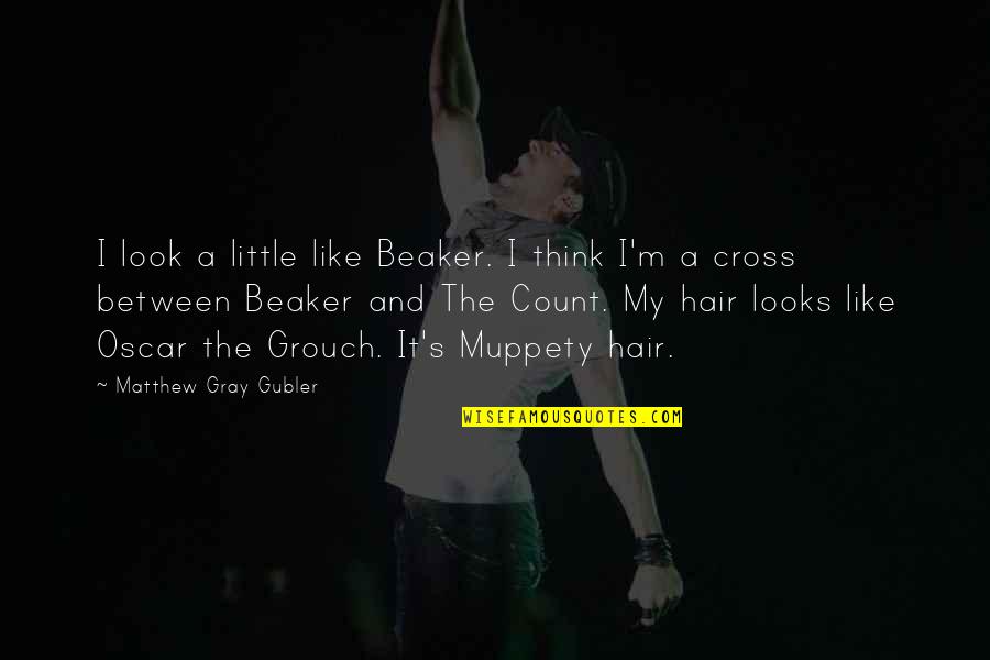 Aman In Urdu Quotes By Matthew Gray Gubler: I look a little like Beaker. I think