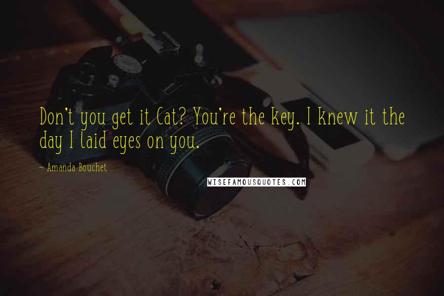 Amanda Bouchet quotes: Don't you get it Cat? You're the key. I knew it the day I laid eyes on you.