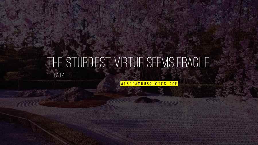 Amanda Zuckerman Quotes By Laozi: The sturdiest virtue seems fragile.