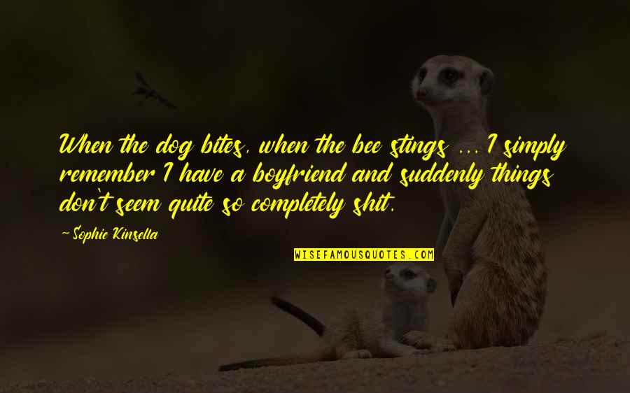 Amaneci En Quotes By Sophie Kinsella: When the dog bites, when the bee stings Amaneci En Quotes By Sophie Kinsella: When the dog bites, when the bee stings