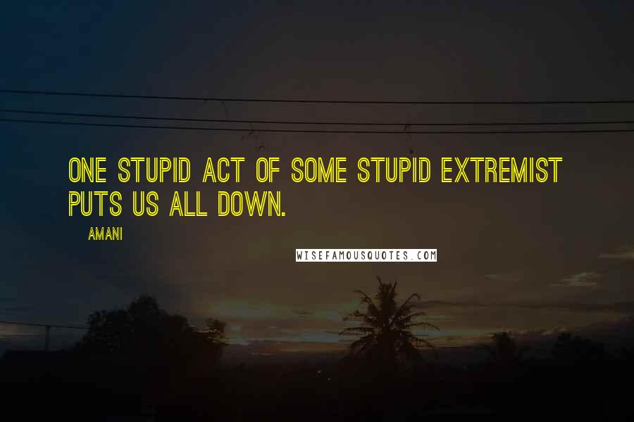 Amani quotes: One stupid act of some stupid extremist puts us all down.
