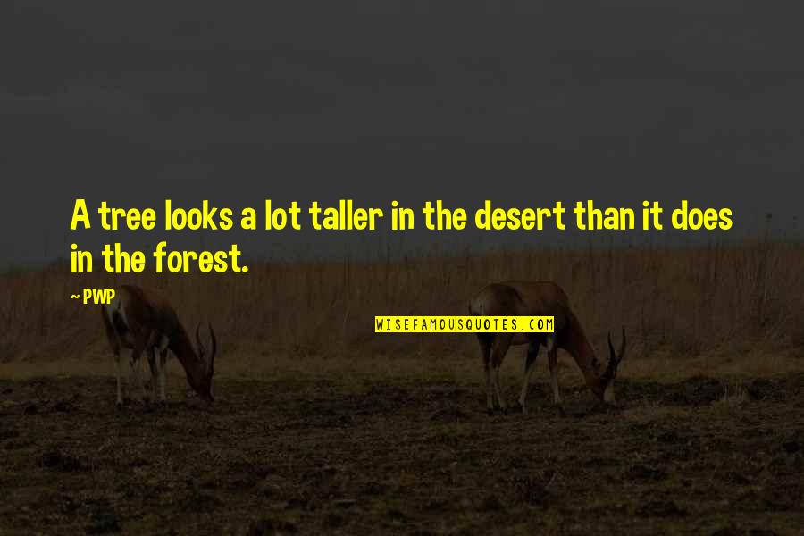 Amantes Quotes By PWP: A tree looks a lot taller in the