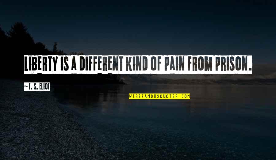 Amantino Lopes Quotes By T. S. Eliot: Liberty is a different kind of pain from Amantino Lopes Quotes By T. S. Eliot: Liberty is a different kind of pain from