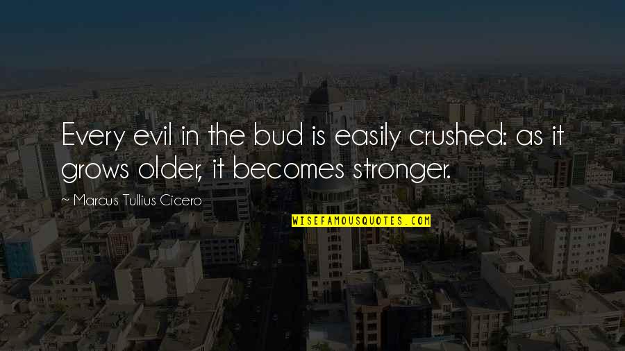 Amar Y Querer Quotes By Marcus Tullius Cicero: Every evil in the bud is easily crushed: