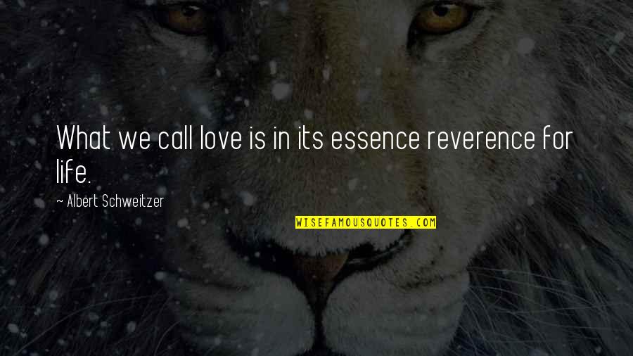Amaradios Quotes By Albert Schweitzer: What we call love is in its essence Amaradios Quotes By Albert Schweitzer: What we call love is in its essence