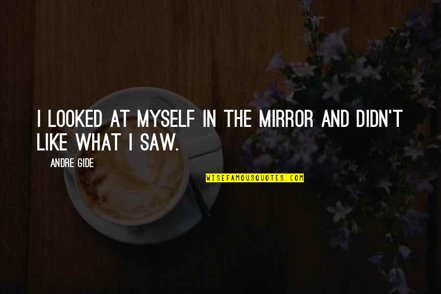 Amardeep Quotes By Andre Gide: I looked at myself in the mirror and