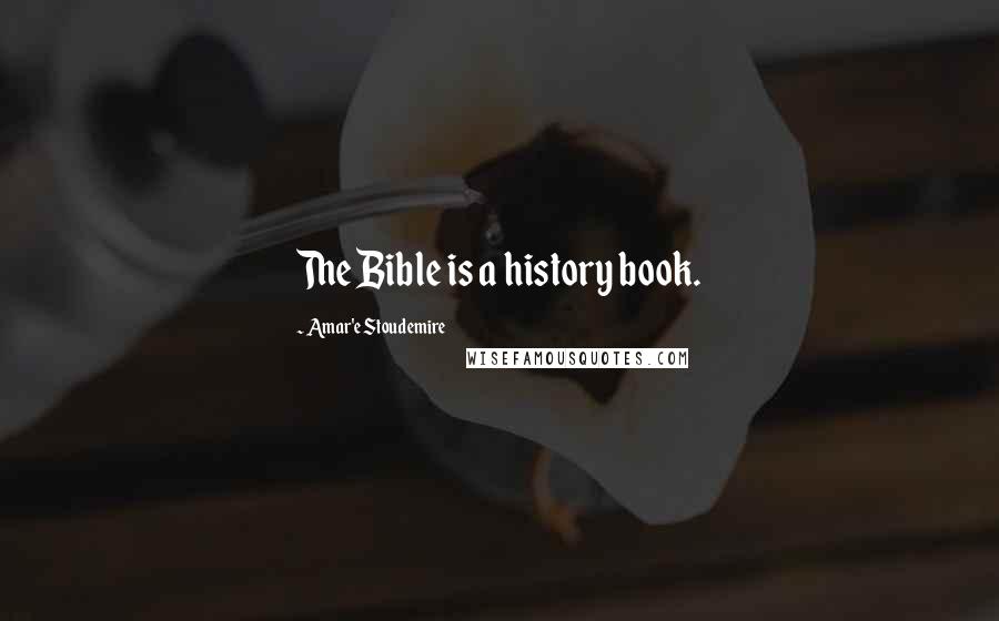 Amar'e Stoudemire quotes: The Bible is a history book.