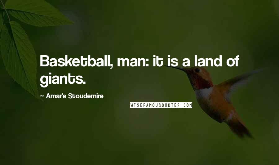Amar'e Stoudemire quotes: Basketball, man: it is a land of giants.