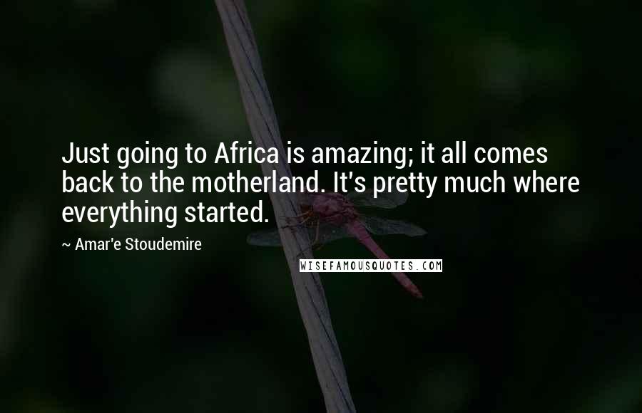 Amar'e Stoudemire quotes: Just going to Africa is amazing; it all comes back to the motherland. It's pretty much where everything started.
