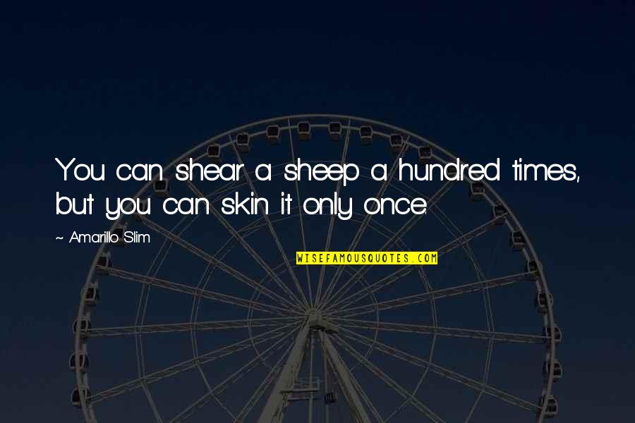 Amarillo Quotes By Amarillo Slim: You can shear a sheep a hundred times,