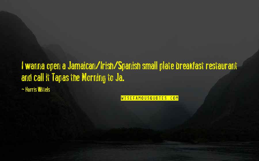 Amarins Wierdsma Quotes By Harris Wittels: I wanna open a Jamaican/Irish/Spanish small plate breakfast