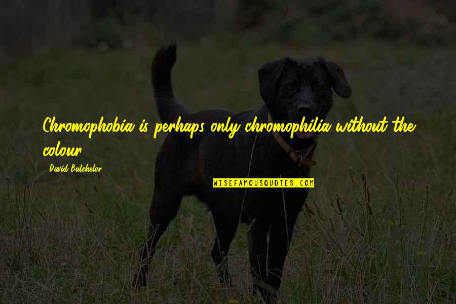 Amarnos A Nosotros Quotes By David Batchelor: Chromophobia is perhaps only chromophilia without the colour. Amarnos A Nosotros Quotes By David Batchelor: Chromophobia is perhaps only chromophilia without the colour.