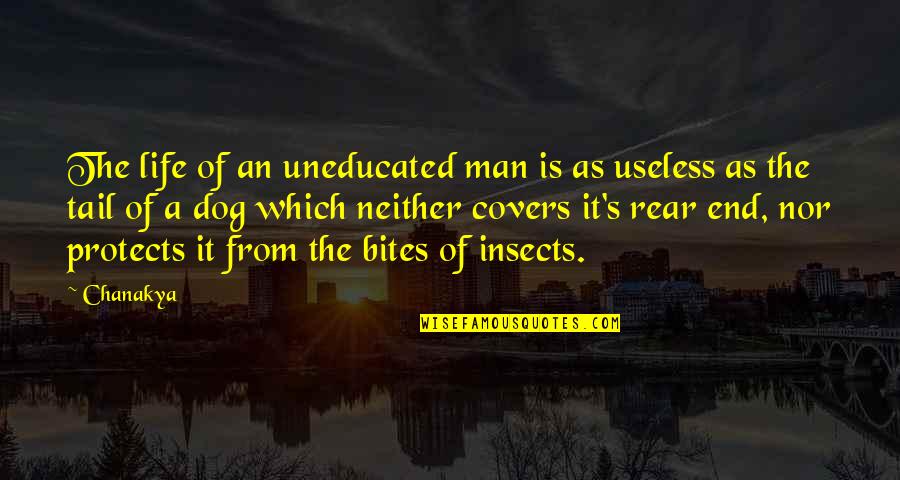 Amarrados De Cordones Quotes By Chanakya: The life of an uneducated man is as