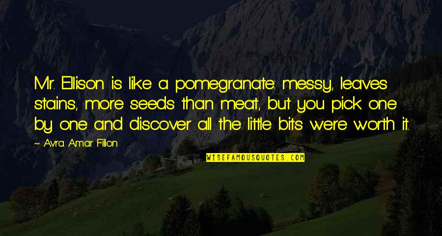 Amar's Quotes By Avra Amar Filion: Mr. Ellison is like a pomegranate: messy, leaves