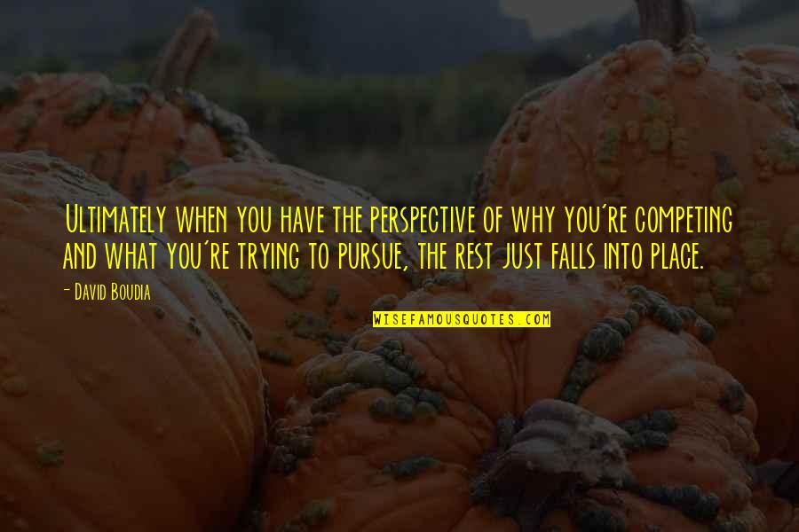 Amassing Synonyms Quotes By David Boudia: Ultimately when you have the perspective of why