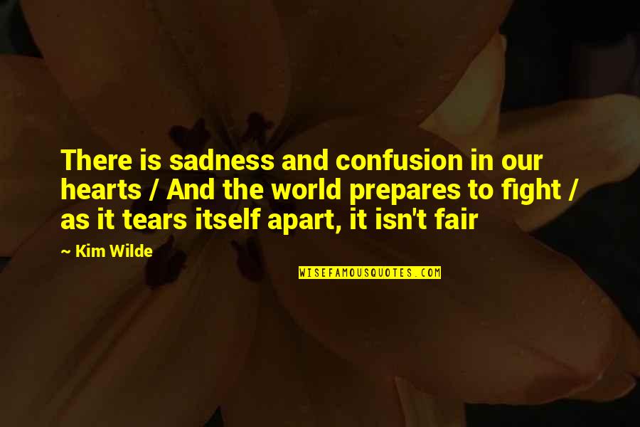 Amaterasu Quotes By Kim Wilde: There is sadness and confusion in our hearts