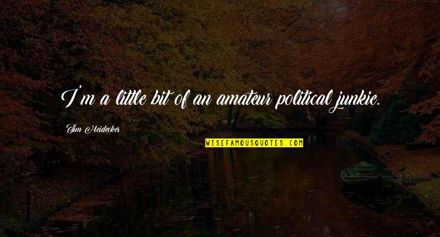 Amateur Quotes By Tim Heidecker: I'm a little bit of an amateur political