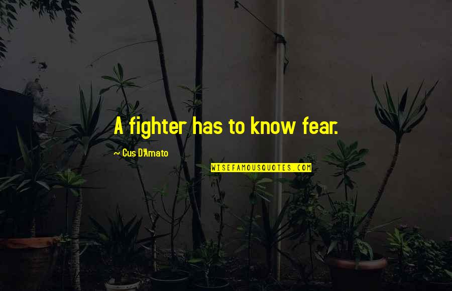 Amato Quotes By Cus D'Amato: A fighter has to know fear.