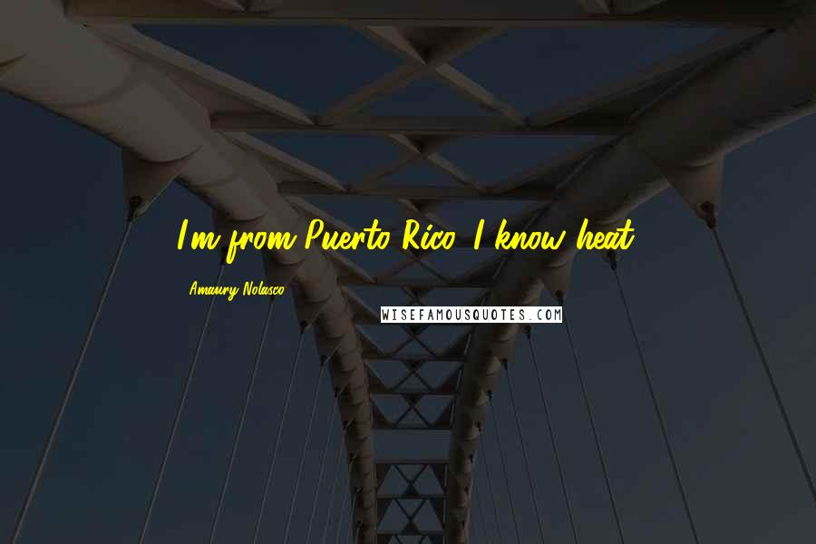 Amaury Nolasco quotes: I'm from Puerto Rico. I know heat.