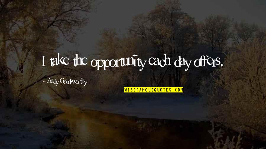 Amaurys Fernandez Quotes By Andy Goldsworthy: I take the opportunity each day offers.
