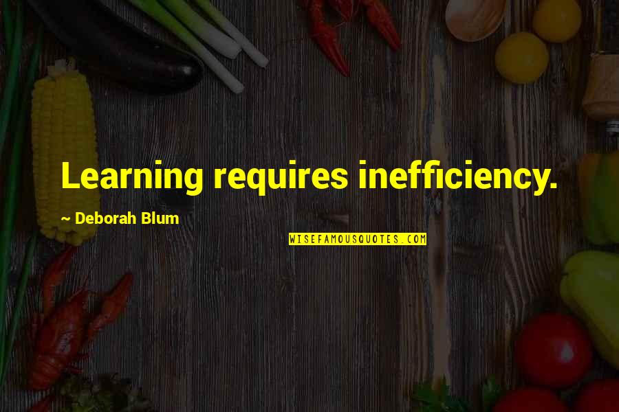 Amazarashi Quotes By Deborah Blum: Learning requires inefficiency.