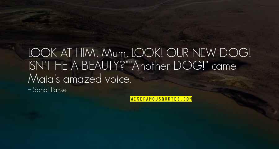 Amazed By Beauty Quotes By Sonal Panse: LOOK AT HIM! Mum, LOOK! OUR NEW DOG!
