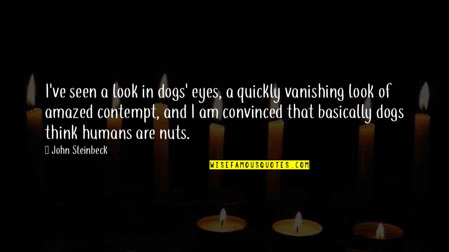 Amazed Quotes By John Steinbeck: I've seen a look in dogs' eyes, a