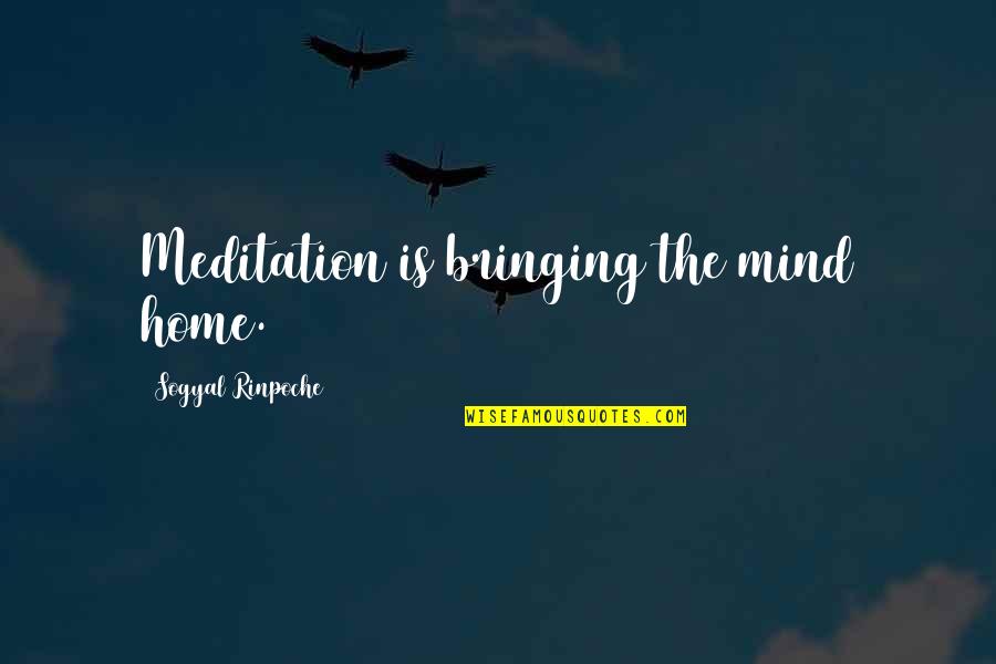 Amazin Quotes By Sogyal Rinpoche: Meditation is bringing the mind home.