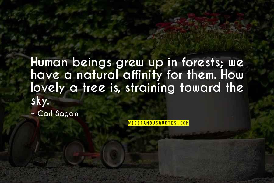 Amazing Creations Of Allah Quotes By Carl Sagan: Human beings grew up in forests; we have Amazing Creations Of Allah Quotes By Carl Sagan: Human beings grew up in forests; we have