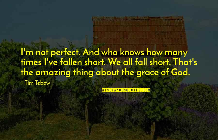 Amazing Grace Of God Quotes By Tim Tebow: I'm not perfect. And who knows how many