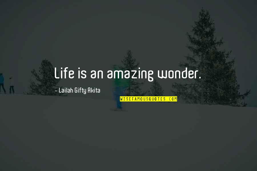 Amazing Life Happiness Quotes By Lailah Gifty Akita: Life is an amazing wonder.