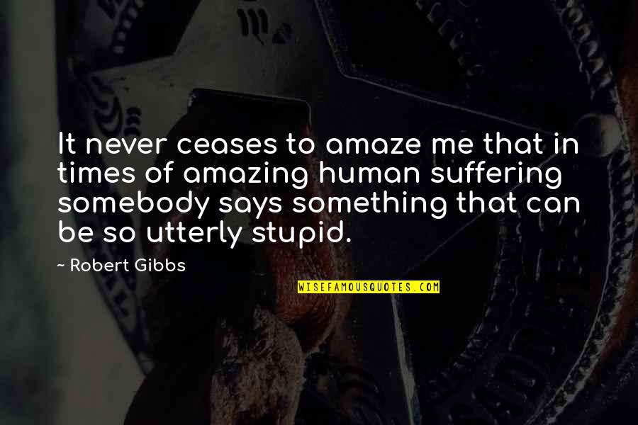 Amazing Says And Quotes By Robert Gibbs: It never ceases to amaze me that in