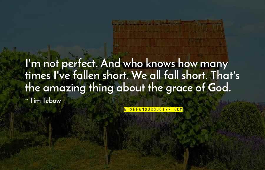 Amazing Short Quotes By Tim Tebow: I'm not perfect. And who knows how many