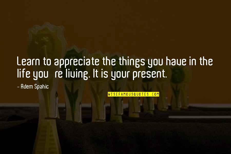 Amazing Things Quotes By Adem Spahic: Learn to appreciate the things you have in