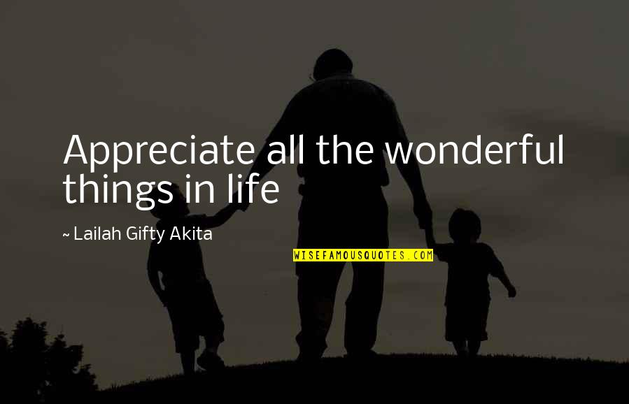 Amazing Things Quotes By Lailah Gifty Akita: Appreciate all the wonderful things in life