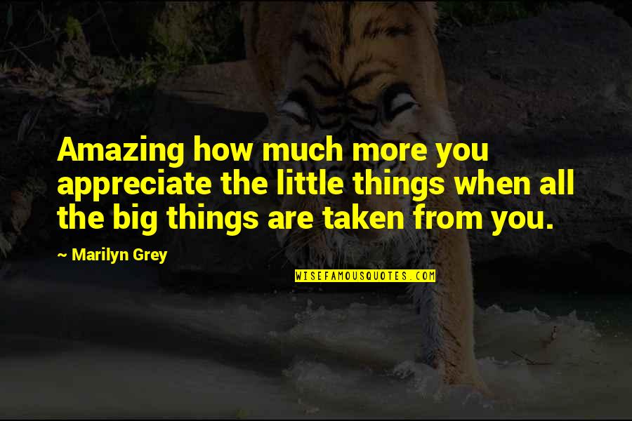 Amazing Things Quotes By Marilyn Grey: Amazing how much more you appreciate the little