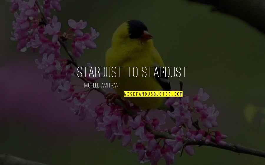Amazing View Quotes By Michele Amitrani: Stardust to stardust