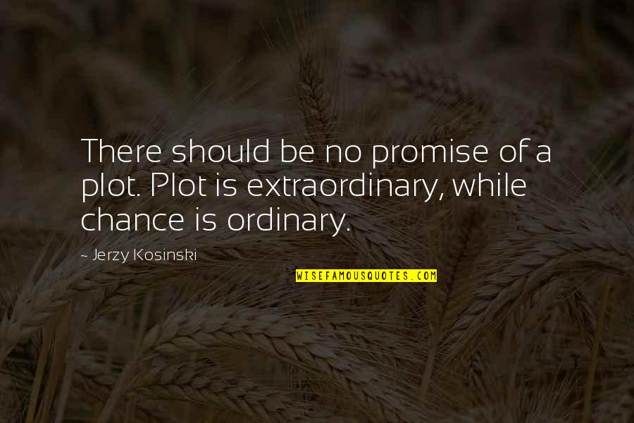 Ambassadresses Quotes By Jerzy Kosinski: There should be no promise of a plot.
