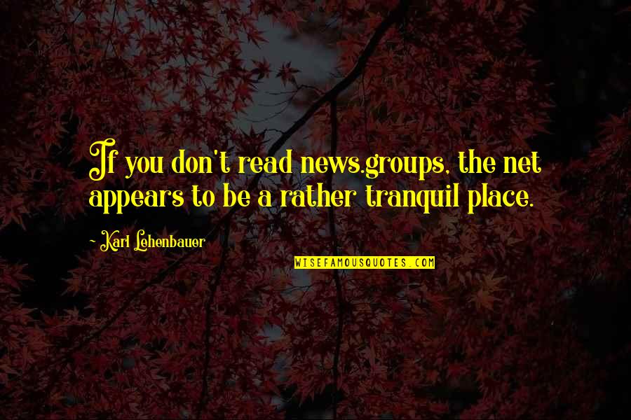 Amber Marshall Quotes By Karl Lehenbauer: If you don't read news.groups, the net appears