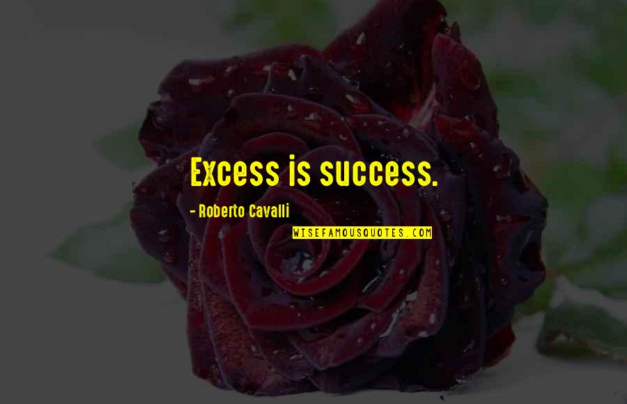 Amber Pacific Quotes By Roberto Cavalli: Excess is success.