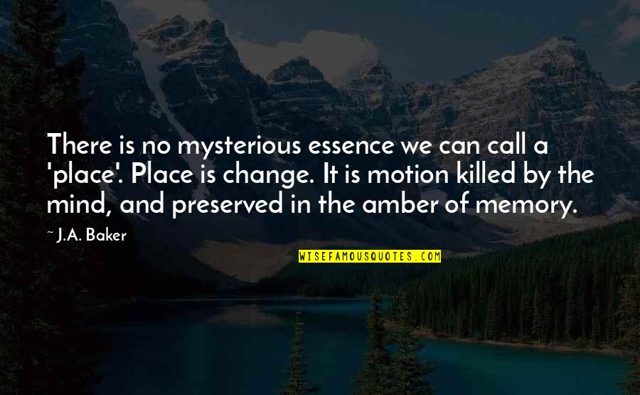 Amber Quotes By J.A. Baker: There is no mysterious essence we can call