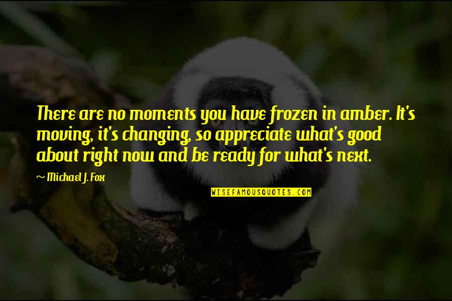 Amber's Quotes By Michael J. Fox: There are no moments you have frozen in