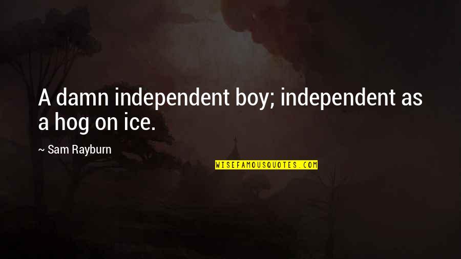 Ambicion Malbec Quotes By Sam Rayburn: A damn independent boy; independent as a hog