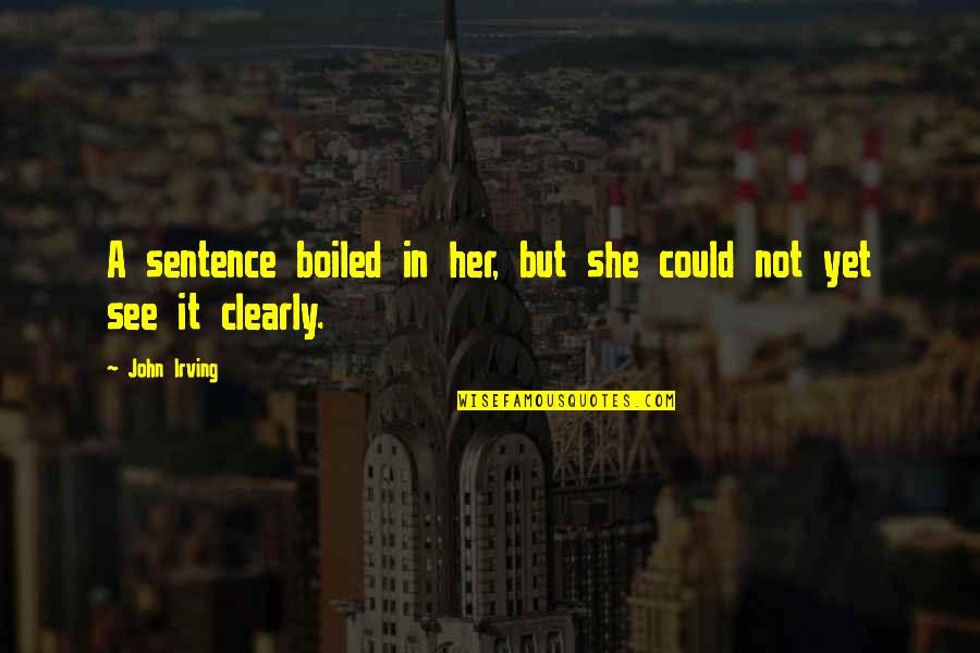 Ambiciosa Significado Quotes By John Irving: A sentence boiled in her, but she could