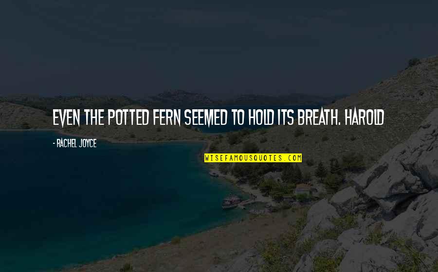Ambiente Quotes By Rachel Joyce: Even the potted fern seemed to hold its