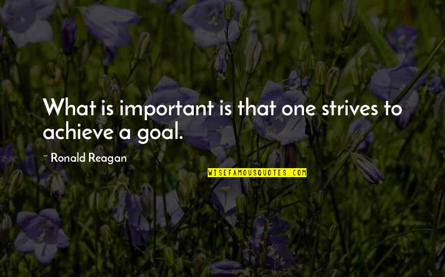 Ambiguedades Quotes By Ronald Reagan: What is important is that one strives to