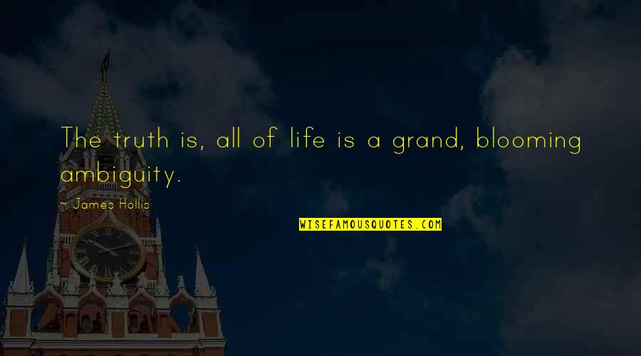 Ambiguity Quotes By James Hollis: The truth is, all of life is a