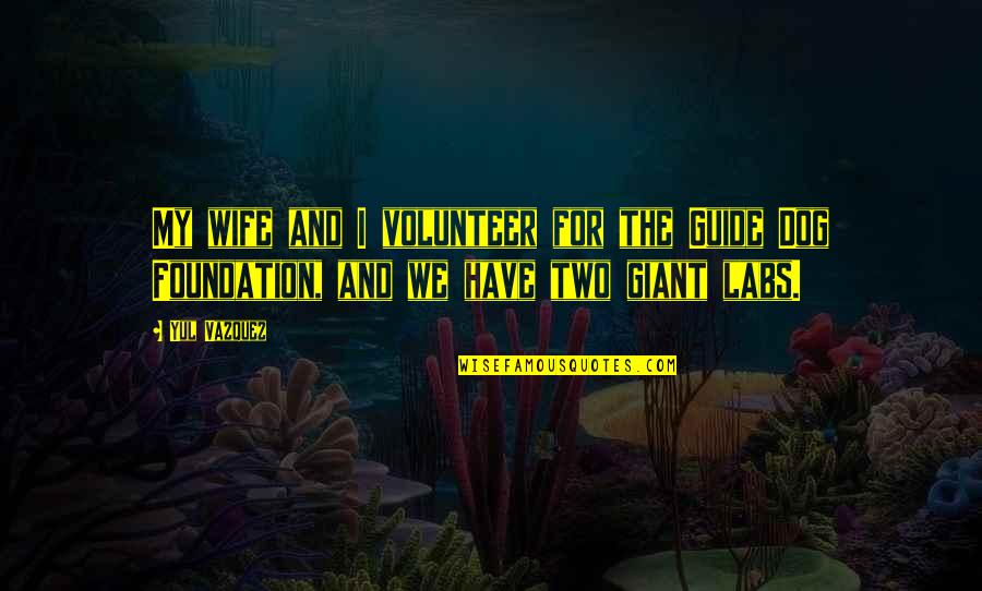 Ambition And Drive Quotes By Yul Vazquez: My wife and I volunteer for the Guide