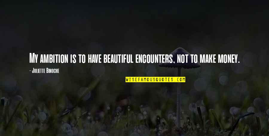 Ambition And Money Quotes By Juliette Binoche: My ambition is to have beautiful encounters, not