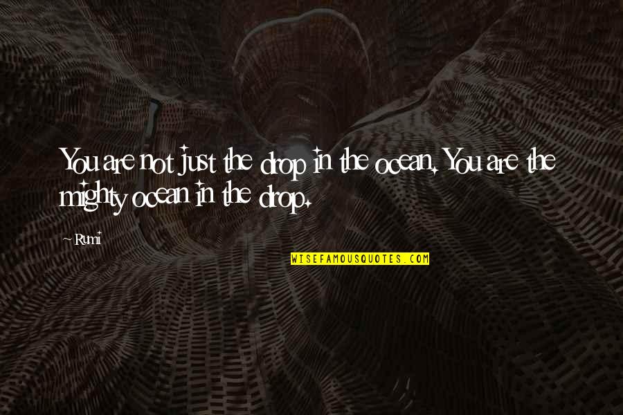 Ambition And Money Quotes By Rumi: You are not just the drop in the